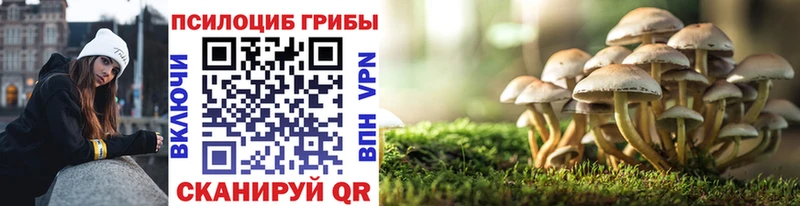 Галлюциногенные грибы прущие грибы Купить Геленджик